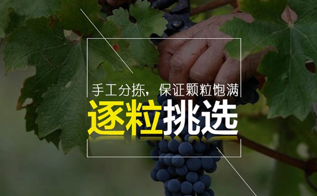 重慶紅酒批發市場