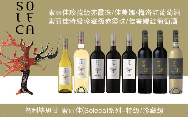 索麗佳梅洛紅葡萄酒