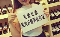 萬葡酒業(yè)酒莊萬葡國際重慶進(jìn)口紅酒批發(fā)中心