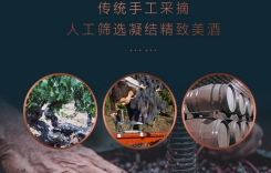 重慶紅酒酒莊有哪些?保稅港萬(wàn)葡酒業(yè)推出酒水主城直供