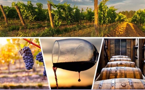 重慶保稅紅酒批發酒類批發團購公司企業在哪里