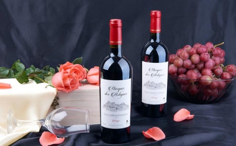 重慶葡萄酒培訓(xùn)班愛好者體驗葡萄酒和顏色的關(guān)系